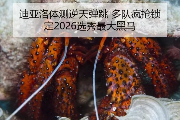 di-ya-luo-ti-ce-ni-tian-dan-tiao-duo-dui-feng-qiang-suo-ding-xuan-xiu-zui-da-hei-ma-2-504.jpg